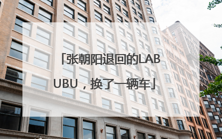 张朝阳退回的LABUBU，换了一辆车