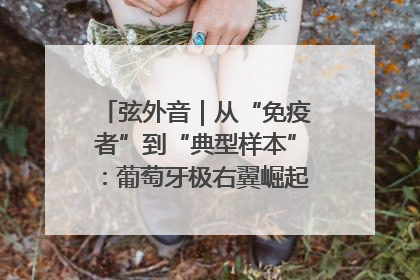弦外音｜从“免疫者”到“典型样本”：葡萄牙极右翼崛起背后的欧洲困局