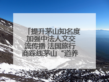 提升茅山知名度 加强中法人文交流传播 法国旅行商踩线茅山“道养文化产品”