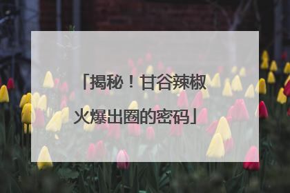 揭秘！甘谷辣椒火爆出圈的密码