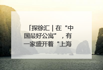 探徐汇｜在“中国最好公寓”，有一家盛开着“上海玫瑰”的书店