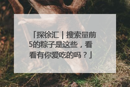 探徐汇｜搜索量前5的粽子是这些，看看有你爱吃的吗？