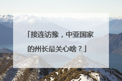 接连访豫，中亚国家的州长最关心啥？
