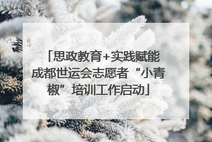 思政教育+实践赋能 成都世运会志愿者“小青椒”培训工作启动