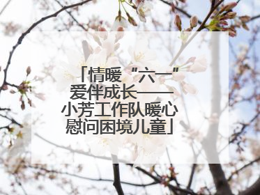 情暖“六一” 爱伴成长——小芳工作队暖心慰问困境儿童