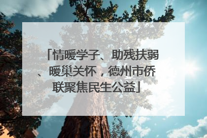 情暖学子、助残扶弱、暖巢关怀，德州市侨联聚焦民生公益