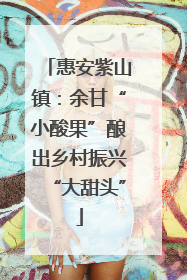 惠安紫山镇：余甘“小酸果”酿出乡村振兴“大甜头”