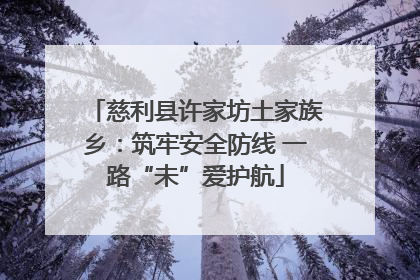 慈利县许家坊土家族乡：筑牢安全防线 一路“未”爱护航