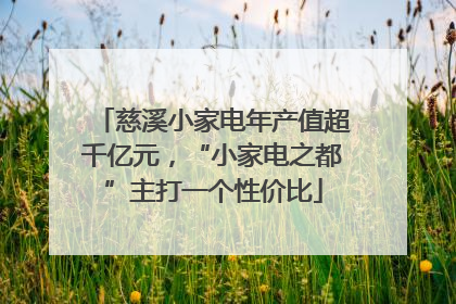 慈溪小家电年产值超千亿元，“小家电之都”主打一个性价比