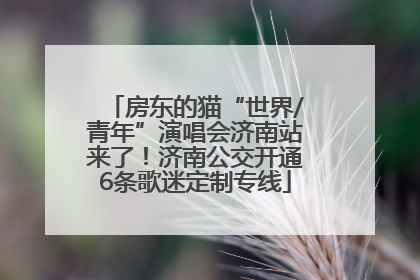 房东的猫“世界/青年”演唱会济南站来了！济南公交开通6条歌迷定制专线