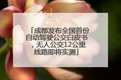 成都发布全国首份自动驾驶公交白皮书，无人公交12公里线路即将实测