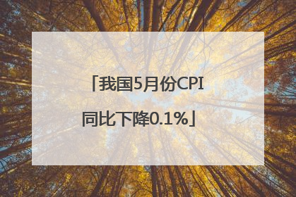 我国5月份CPI同比下降0.1%
