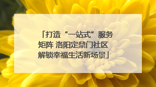 打造“一站式”服务矩阵 洛阳定鼎门社区解锁幸福生活新场景