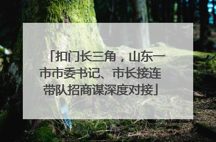 扣门长三角，山东一市市委书记、市长接连带队招商谋深度对接