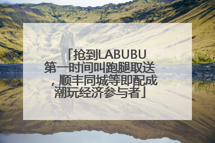 抢到LABUBU第一时间叫跑腿取送，顺丰同城等即配成潮玩经济参与者