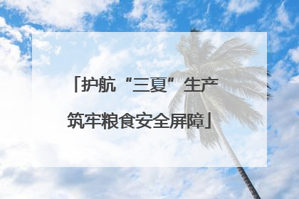 护航“三夏”生产 筑牢粮食安全屏障