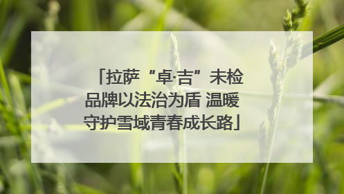 拉萨“卓·吉”未检品牌以法治为盾 温暖守护雪域青春成长路