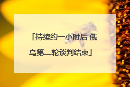 持续约一小时后 俄乌第二轮谈判结束