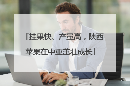 挂果快、产量高，陕西苹果在中亚茁壮成长