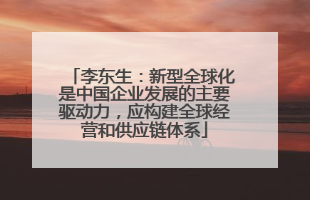 李东生：新型全球化是中国企业发展的主要驱动力，应构建全球经营和供应链体系