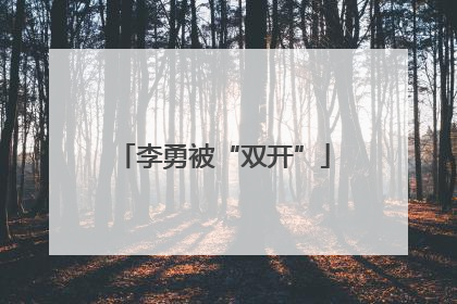 李勇被“双开”