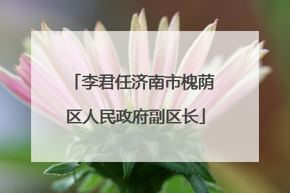 李君任济南市槐荫区人民政府副区长