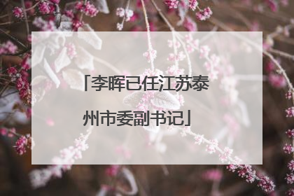 李晖已任江苏泰州市委副书记