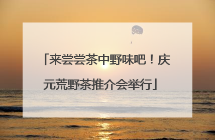 来尝尝茶中野味吧！庆元荒野茶推介会举行