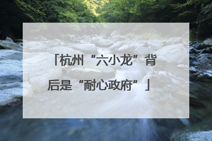 杭州“六小龙”背后是“耐心政府”