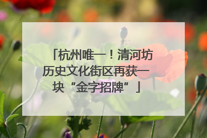 杭州唯一！清河坊历史文化街区再获一块“金字招牌”