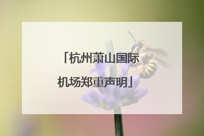 杭州萧山国际机场郑重声明