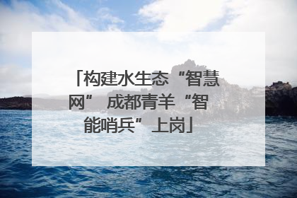 构建水生态“智慧网” 成都青羊“智能哨兵”上岗