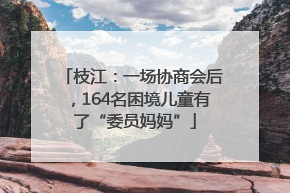 枝江：一场协商会后，164名困境儿童有了“委员妈妈”