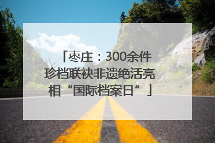 枣庄：300余件珍档联袂非遗绝活亮相“国际档案日”