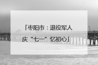 枣阳市：退役军人庆“七一”忆初心