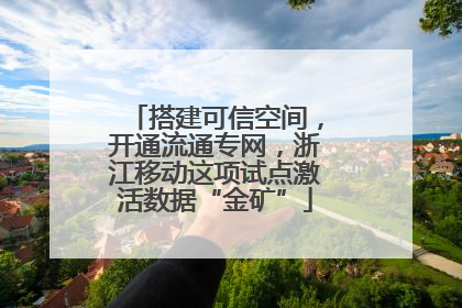 搭建可信空间，开通流通专网，浙江移动这项试点激活数据“金矿”