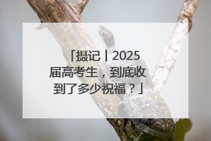 摄记丨2025届高考生，到底收到了多少祝福？