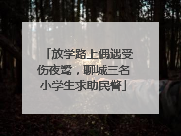 放学路上偶遇受伤夜鹭，聊城三名小学生求助民警