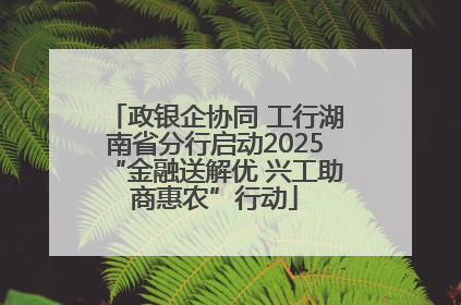 政银企协同 工行湖南省分行启动2025“金融送解优 兴工助商惠农”行动
