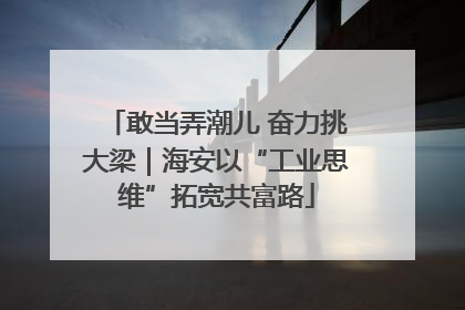 敢当弄潮儿 奋力挑大梁｜海安以“工业思维”拓宽共富路