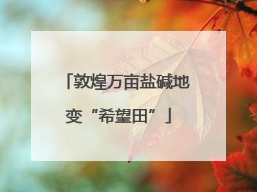 敦煌万亩盐碱地变“希望田”