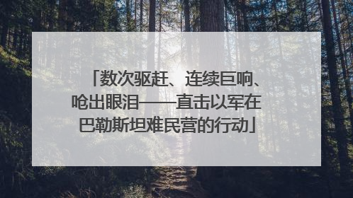 数次驱赶、连续巨响、呛出眼泪——直击以军在巴勒斯坦难民营的行动