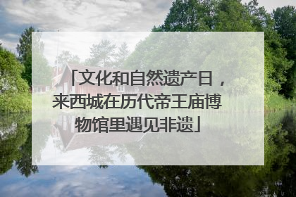 文化和自然遗产日，来西城在历代帝王庙博物馆里遇见非遗