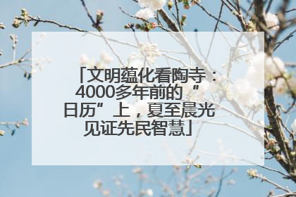 文明蕴化看陶寺：4000多年前的“日历”上，夏至晨光见证先民智慧