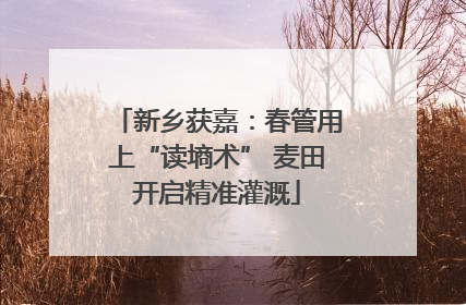 新乡获嘉：春管用上“读墒术” 麦田开启精准灌溉
