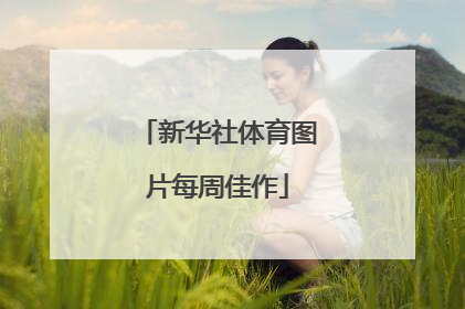 新华社体育图片每周佳作