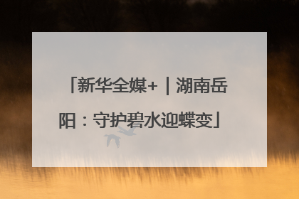新华全媒+｜湖南岳阳：守护碧水迎蝶变