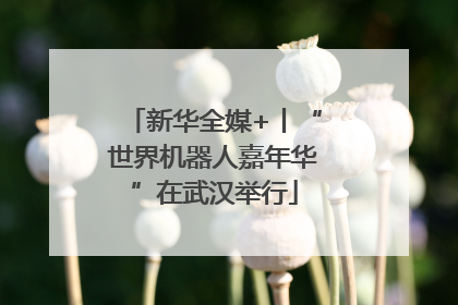 新华全媒+丨“世界机器人嘉年华”在武汉举行
