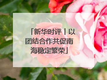 新华时评丨以团结合作共促南海稳定繁荣