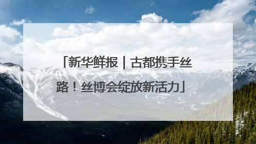 新华鲜报｜古都携手丝路！丝博会绽放新活力